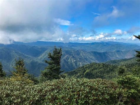 Three Favorite Day Hikes in Great Smoky Mountains National Park - The Trek