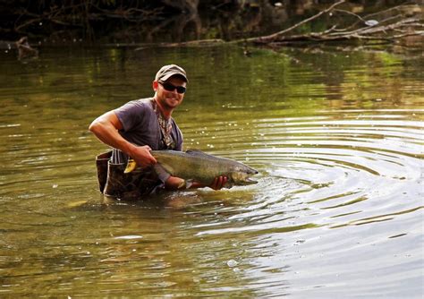 Yakima river fishing reports - Yakima River Fishing Guides - Fishing Info