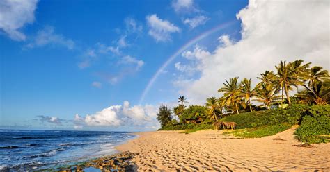 The 20 top trending U.S. beach destinations on Pinterest