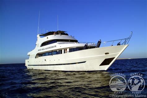 Red Sea Aggressor Liveaboard Trip Winner - Bluewater Dive Travel