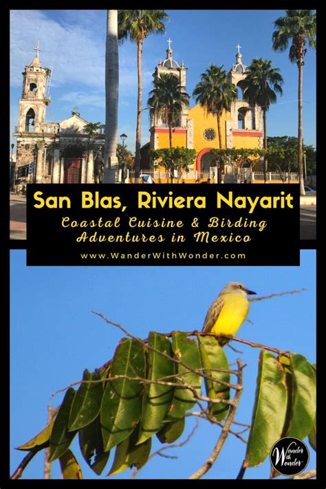 San Blas, Riviera Nayarit: Coastal Cuisine and Birding Adventures | San blas, Nayarit, Mexico travel