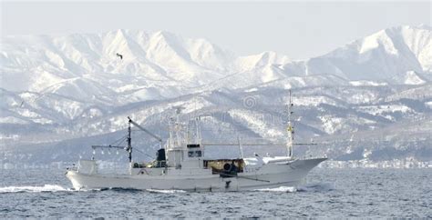 Japanese Fishing Boats in a Wharf Stock Image - Image of ocean, fish: 187048855