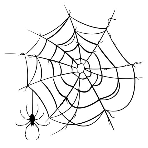 Spider Web Drawing Png