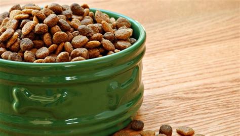 5 Best Natural Dog Food That's USDA-Certified & Healthy