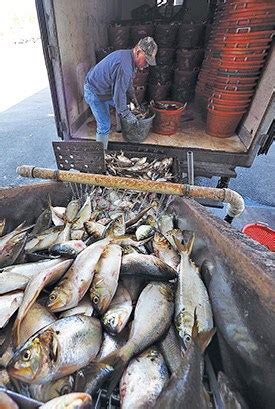 Va. Gets Extra Year to Comply with Menhaden Catch Limits | Chesapeake ...