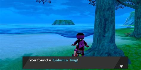 Pokemon Sword and Shield: How to Get Galarica Twigs in Isle of Armor