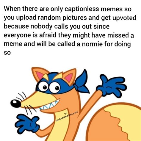 R Memes Swiper No Swiping