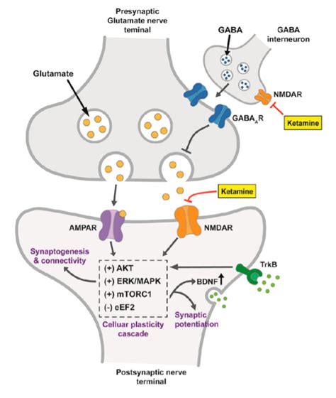 Ketamine - Special K - Chemistry