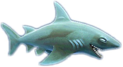 Reef Shark (HSE) | Hungry Shark Wiki | FANDOM powered by Wikia