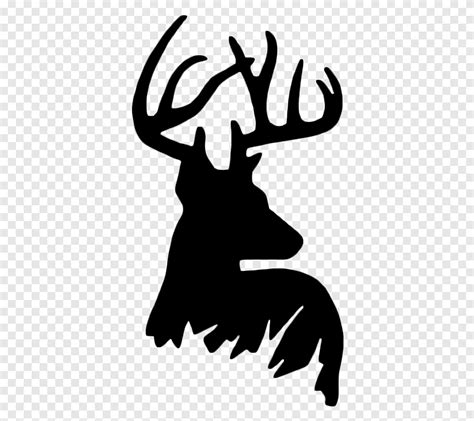 White-tailed deer Reindeer Silhouette, deer, antler, white png | PNGEgg