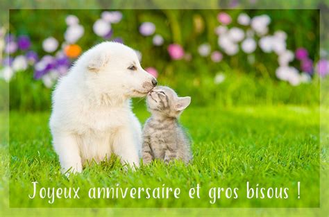 Carte d anniversaire gratuite | Carte anniversaire animée, Anniversaire chien, Joyeux ...