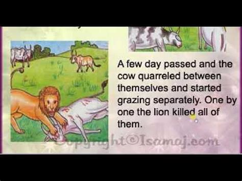 Learn english translation with short story (the lion and the cows - YouTube