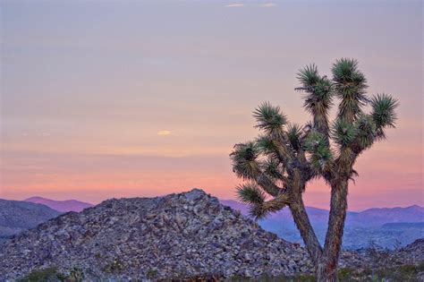 Best National Parks for Rock Climbing | Drive The Nation