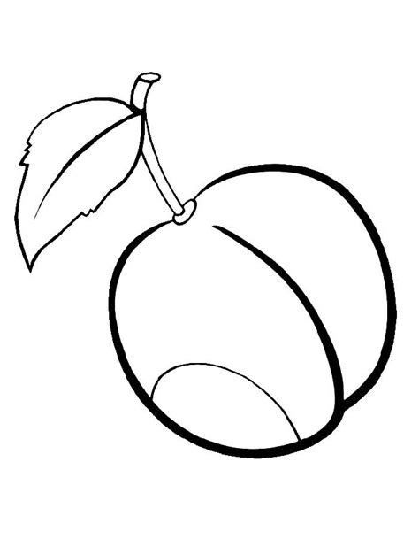 Plum images coloring page