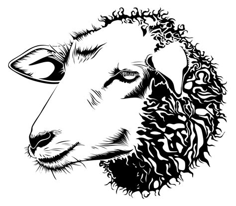 OnlineLabels Clip Art - Detailed Sheep Line Art