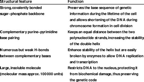 DNA structure and function | Download Table