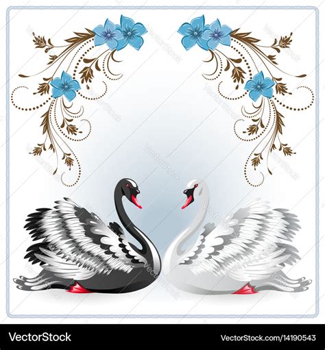 Elegant white and black swan Royalty Free Vector Image