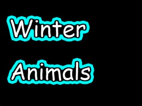 Winter Animals CVI Free Games | Activities | Puzzles | Online for kids ...