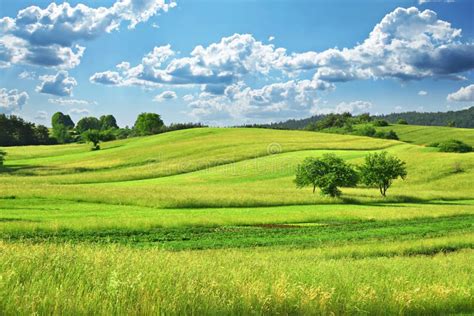 Green Grass Rainbow stock photo. Image of colourful, grow - 5436792