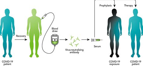 Coronavirus: Specimen Collection and Handling Recommendations