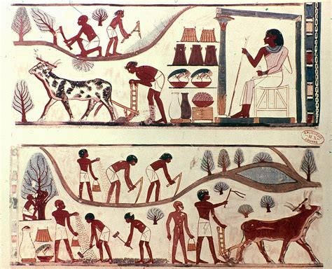 Egyptian Tomb painting of Agricultural Scenes Painting by Granger - Pixels