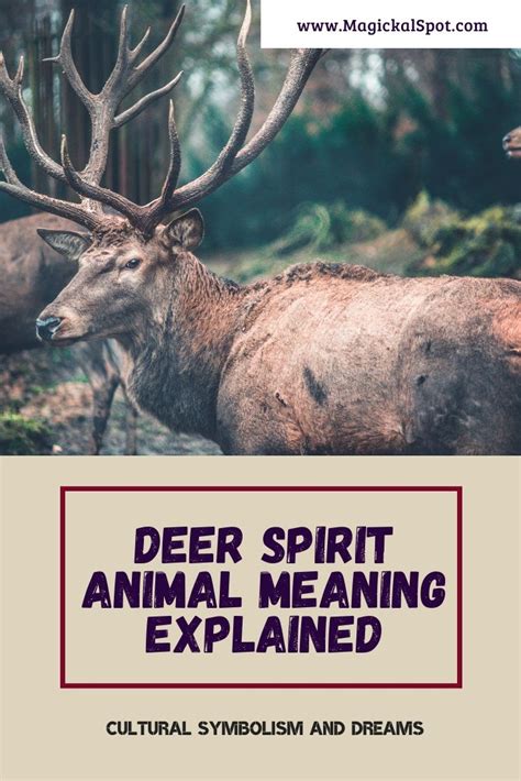 Deer Spirit Animal Meaning Explained [Cultural Symbolism and Dreams] | Spirit animal meaning ...