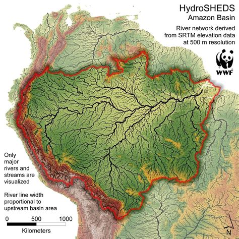 le fleuve Amazone-Amérique | Amazon rainforest map, Rainforest map, Amazon river