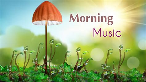 Morning Relaxing Music - Beautiful Piano Music For Stress Relief with ...