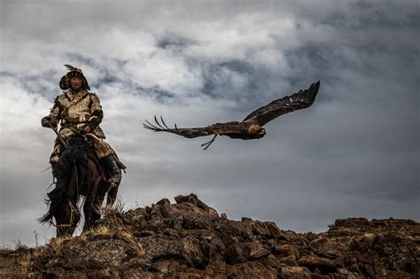 Hunting Eagle - Claire Thomas Photography