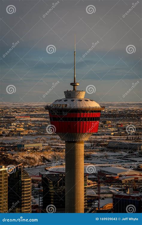 View of the Calgary Tower in Evening Editorial Stock Photo - Image of ...