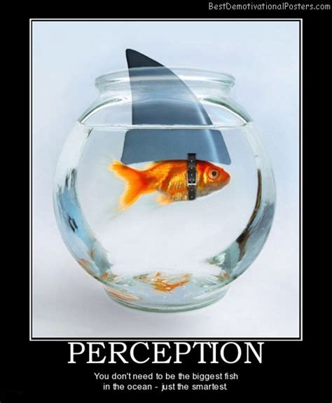 Perception - Demotivational Poster