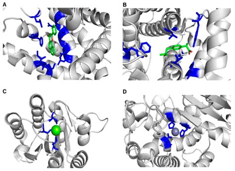 IJMS | Free Full-Text | Proteins and Their Interacting Partners: An Introduction to Protein ...