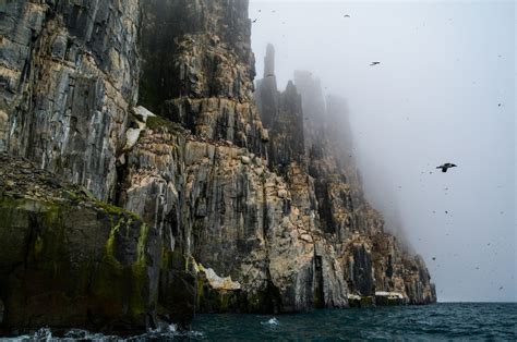 Spitsbergen: Alkefjellet magic