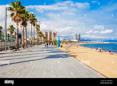 Playa de la Barceloneta city beach in the centre of Barcelona city ...