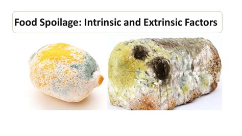 Food Spoilage: Intrinsic and Extrinsic Factors - Microbiology Notes