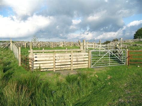 Enclosure bordering open land,... © Nigel Davies cc-by-sa/2.0 :: Geograph Britain and Ireland