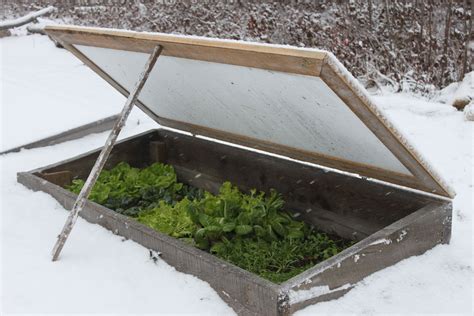 Vegetable Garden In The Snow? Here's 5 Ways To Do It | Winter vegetables gardening, Indoor ...