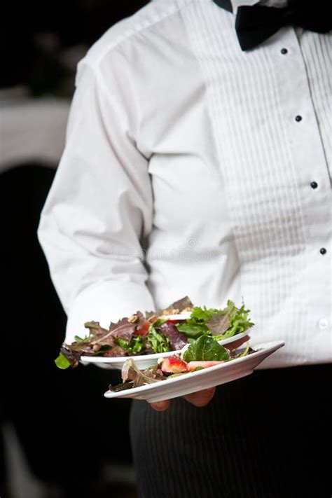 Waiter Serving Food - Wedding Series Stock Photography - Image: 23711752