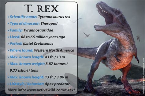 T Rex Dinosaur Facts For Kids