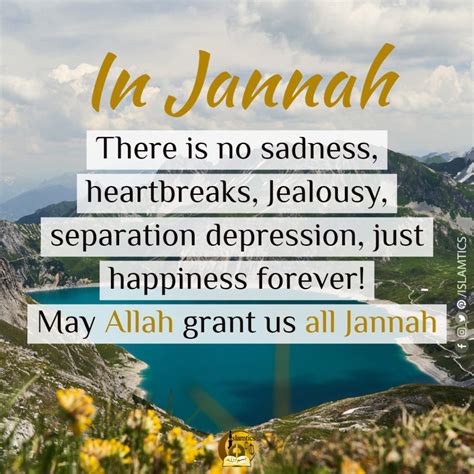 40+ Beautiful Jannah Quotes (with Images) | islamtics