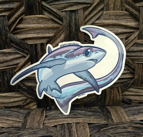 Bigeye Thresher Shark Clear Sticker - Etsy