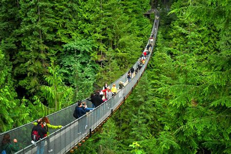 Capilano Suspension Bridge2