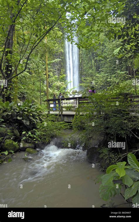 A WATERFALL IN JURONG BIRD PARK, SINGAPORE Stock Photo - Alamy