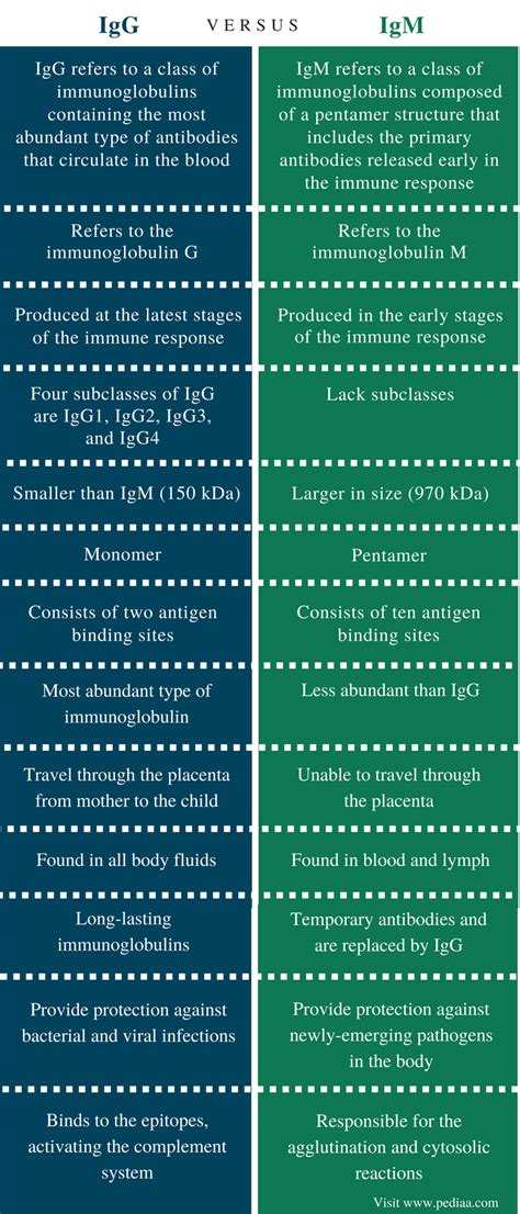 Difference Between IgG and IgM | Definition, Structure, Function in the Immune System and ...