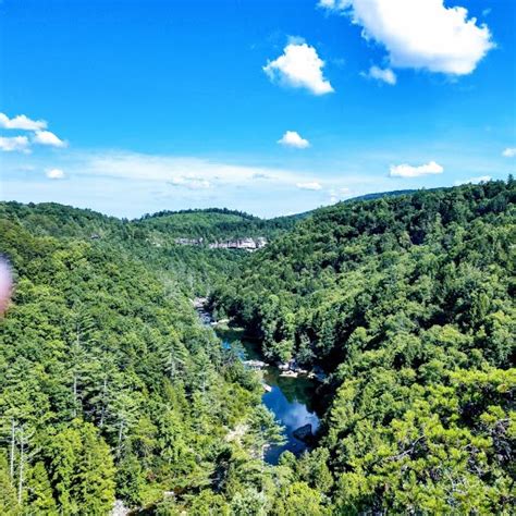 Swimming Holes with Stunning Views in the Tennessee River Valley | Tennessee River Valley