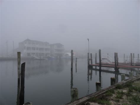 Wildwood Weather: Foggy Start - Gray Day