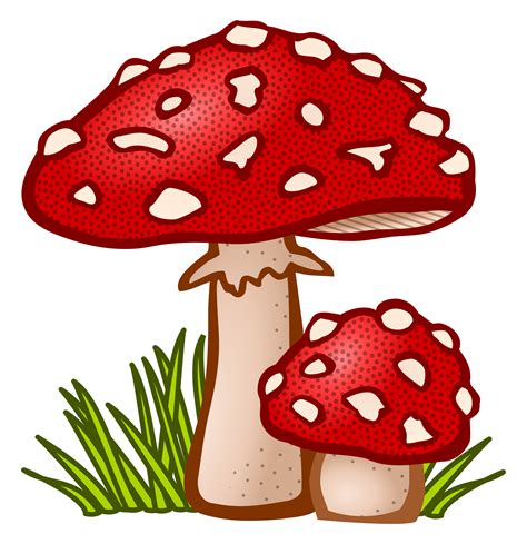 Mushroom clipart printable, Picture #1705802 mushroom clipart printable