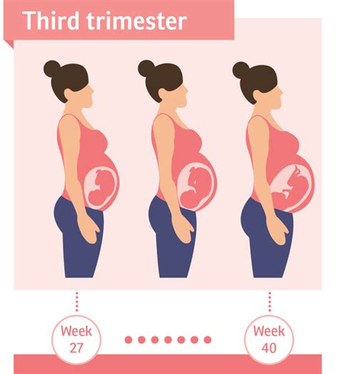 Third Trimester Symptoms