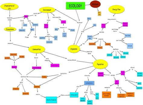 Concept Map - Ecology