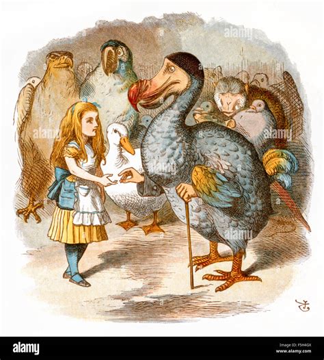 Dodo Alice In Wonderland